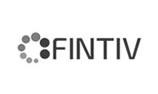 Networkmas Business Partner Fintiv